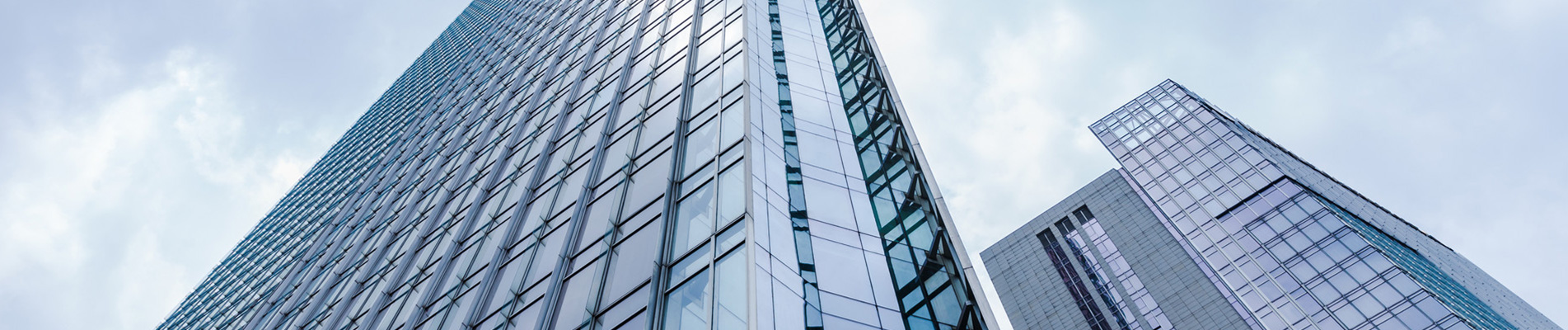 معلومات عنا